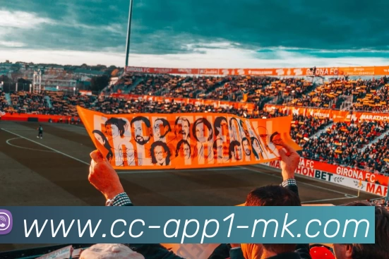 MK体育APP 高清赛事图